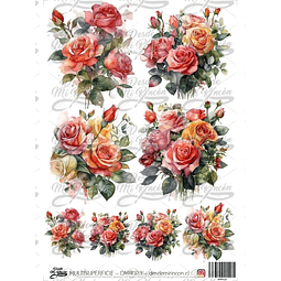 DMR023 Multisuperficie Transfer Color