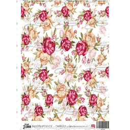 DMR022 Multisuperficie Transfer Color