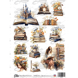 DMR070 Multisuperficie Transfer Color