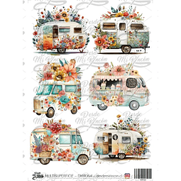 DMR064 Multisuperficie Transfer Color