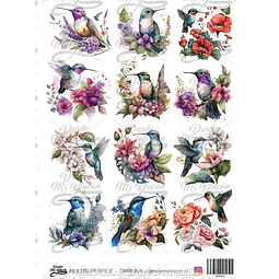 DMR063 Multisuperficie Transfer Color