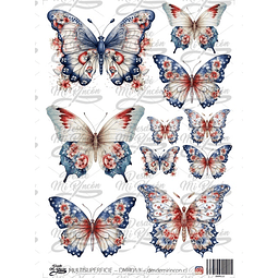 DMR013 Multisuperficie Transfer Color