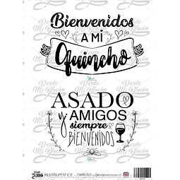 DMR107 Multisuperficie Transfer Color