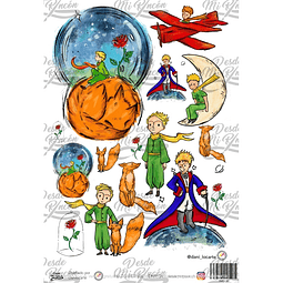 DMR134 Multisuperficie Transfer Color