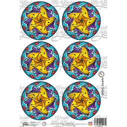 DMR139 Multisuperficie Transfer Color