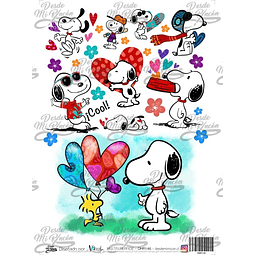 DMR146 Multisuperficie Transfer Color