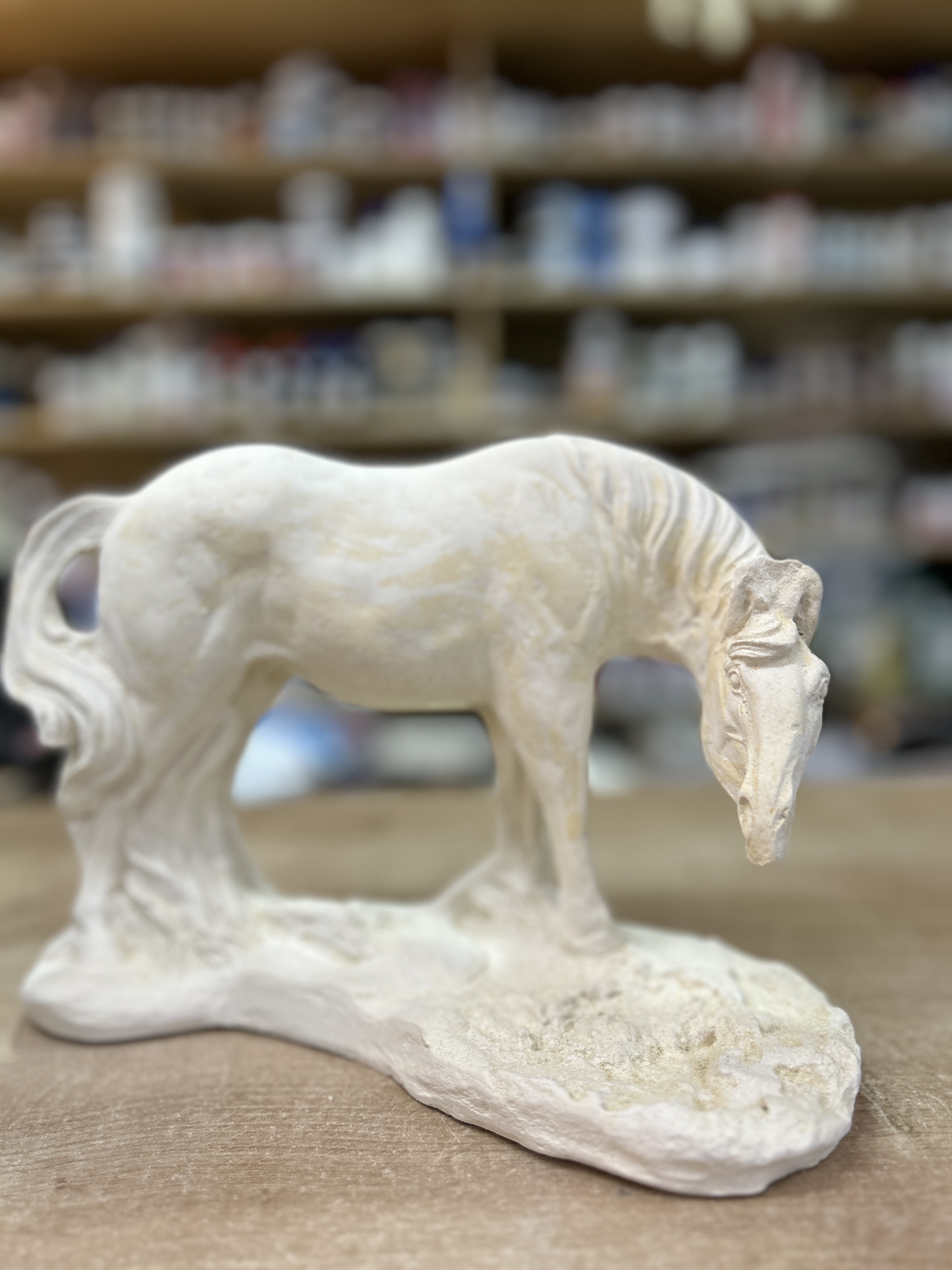 Caballo pastando 18x26 cm