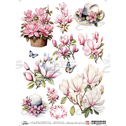 DMR150 Multisuperficie Transfer Color