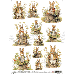 DMR153 Multisuperficie Transfer Color