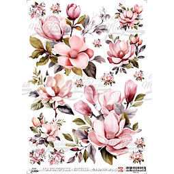 DMR156 Multisuperficie Transfer Color