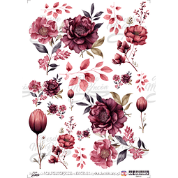 DMR161 Multisuperficie Transfer Color