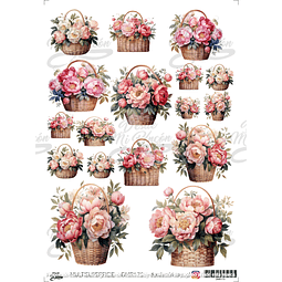 DMR170 Multisuperficie Transfer Color