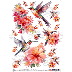 DMR173 Multisuperficie Transfer Color