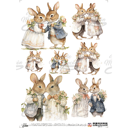 DMR174 Multisuperficie Transfer Color