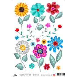 DMR177 Multisuperficie Transfer Color