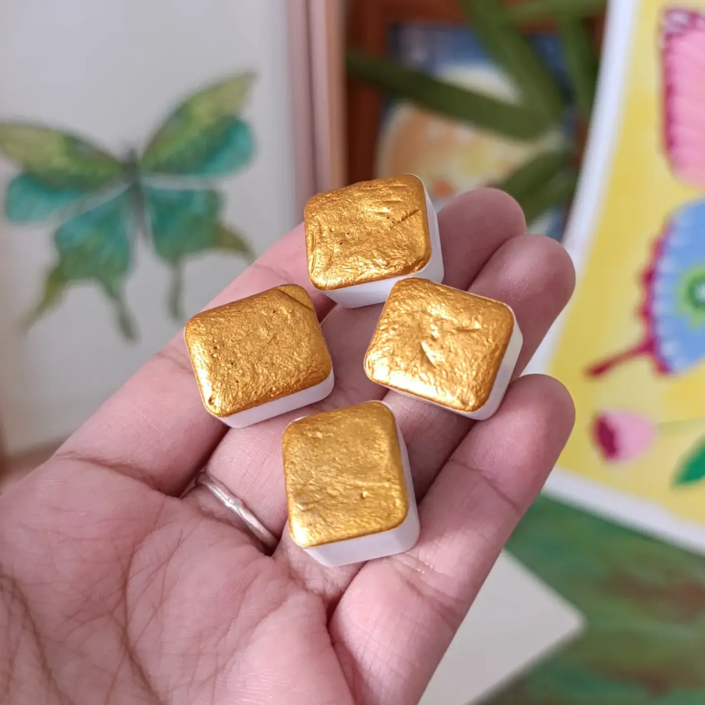 Dorado Oro 1