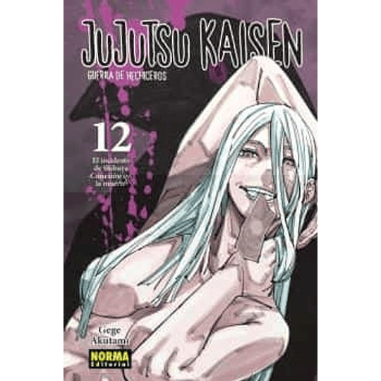 Jujutsu Kaisen 12