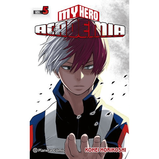 My Hero Academia 05