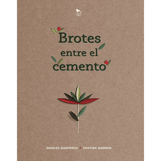 Brotes Entre El Cemento