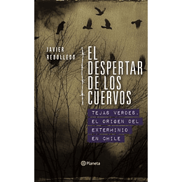 El Despertar De Los Cuervos