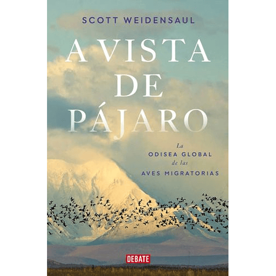 A Vista De Pájaro: La Odisea Global De Las Aves Migratorias 