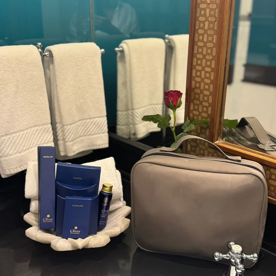 Vanity travel case 5