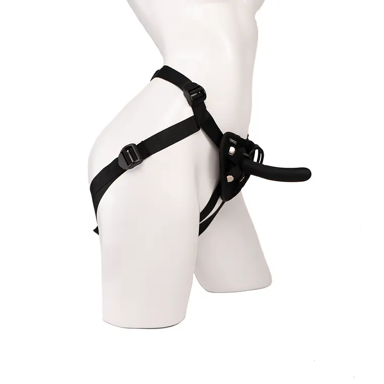 Arnes Seldar Camtoyz 2
