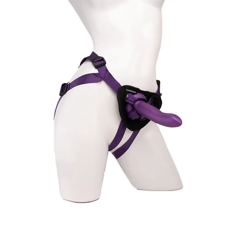 Arnes Tanos Camtoyz 1
