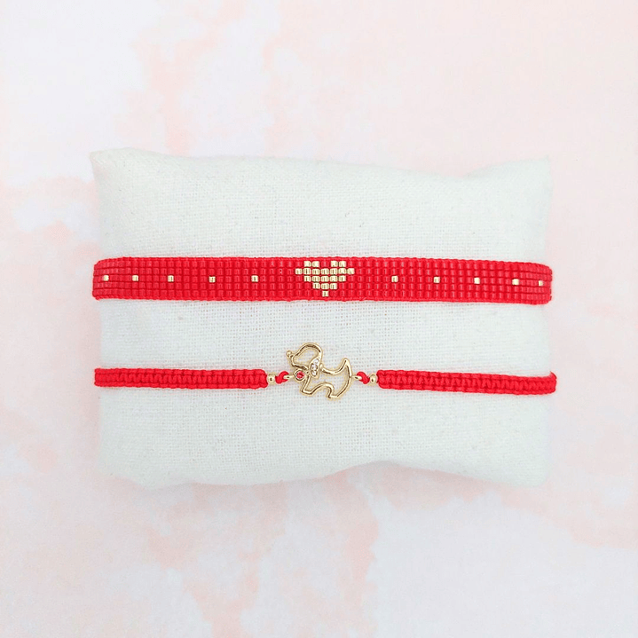 Pulseras dúo Amor canino 1