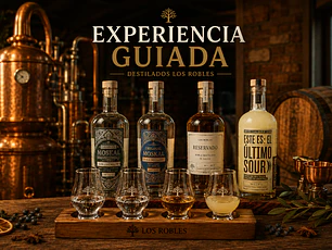 Experiencia guiada Destilados Los Robles (4 personas)