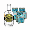 1 GIN MAESTRO + 3 MIXER 4pack FT