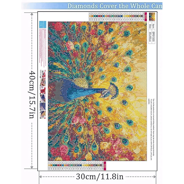 Kits De Pintura De Diamante 5d Diseño Avestruz 30x40 Cms