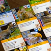Ark Nova - Juego De Mesa VERSION EN ASPAÑOL