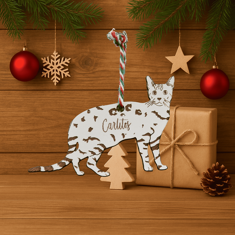 Enfeite de Natal 10 1