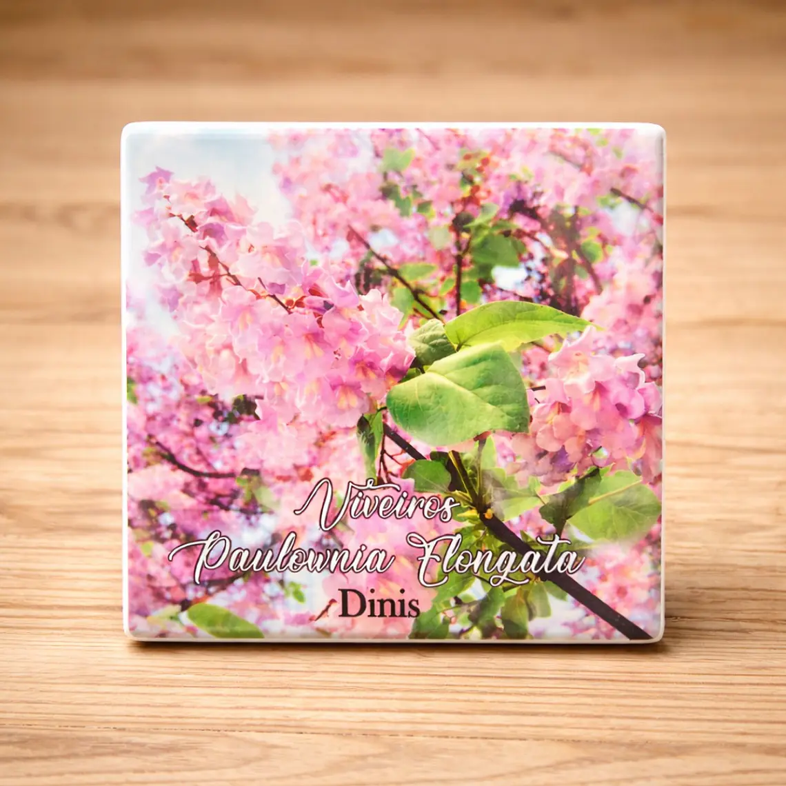 Azulejo magnético Personalizadocom logotipo (1 unidade) 3