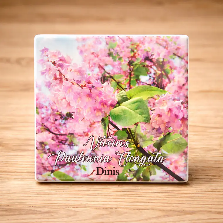 Azulejo magnético Personalizadocom logotipo (1 unidade) 3