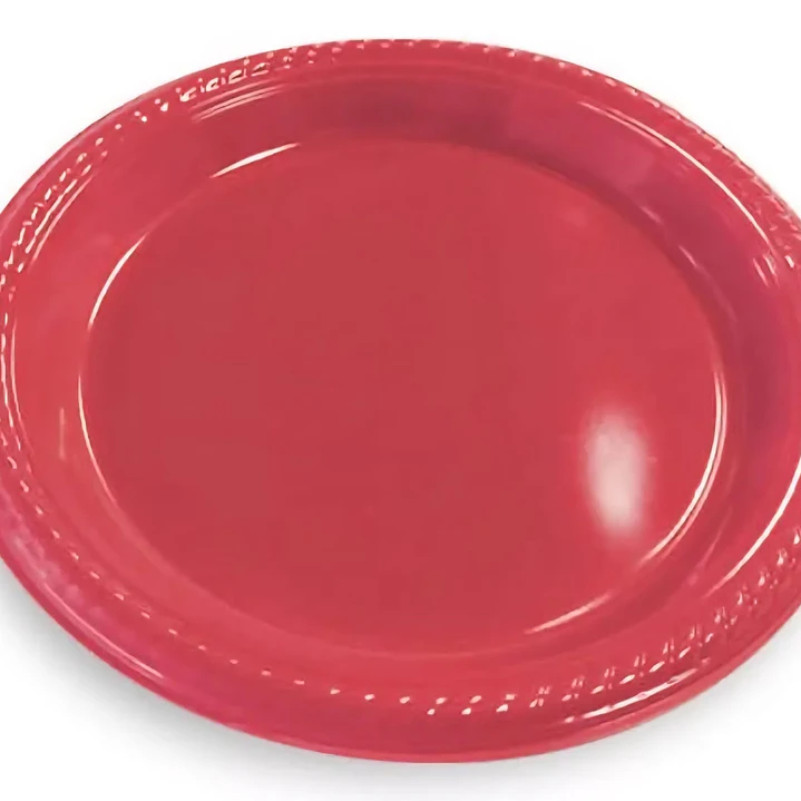 Plato plastico 10 unidades 23cm 2