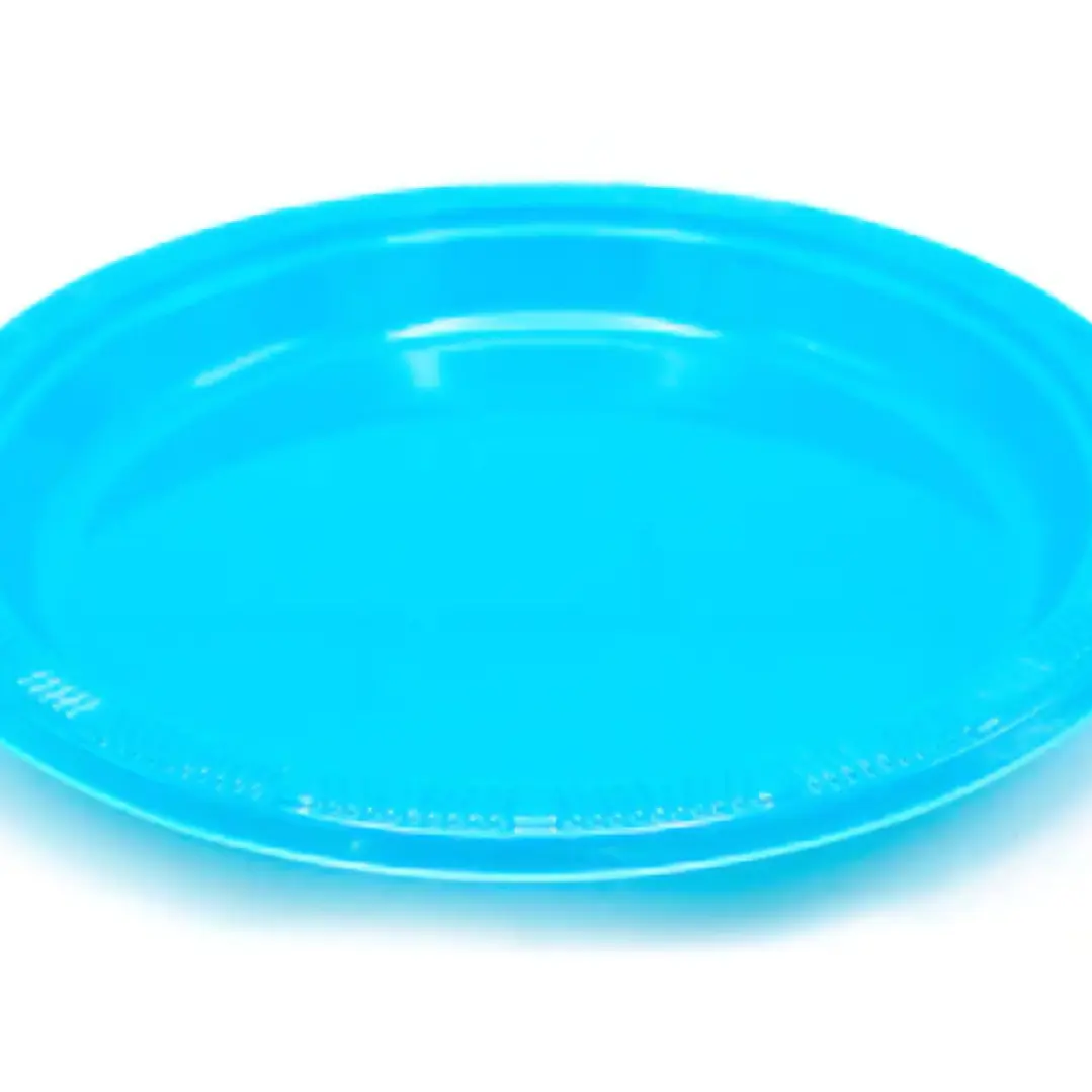 Plato plastico 10 unidades 23cm 5