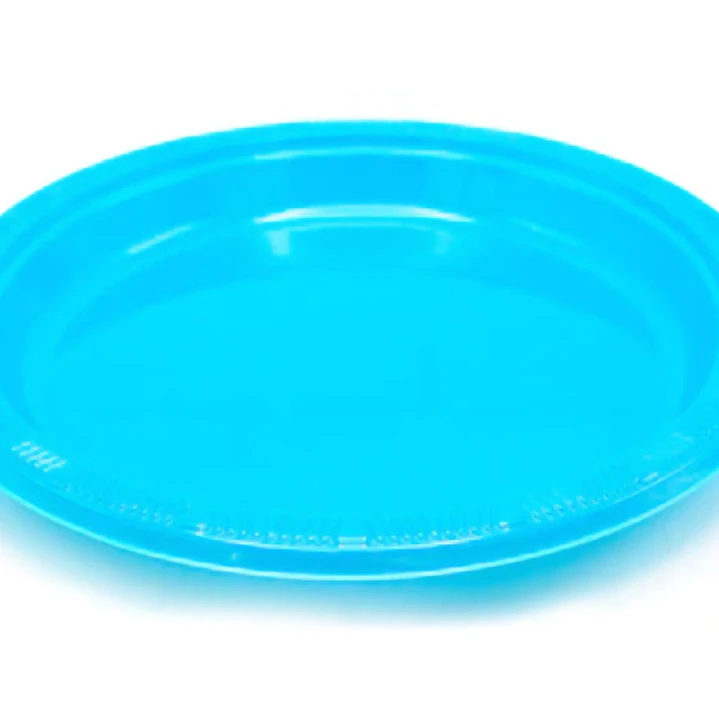 Plato plastico 10 unidades 23cm 5
