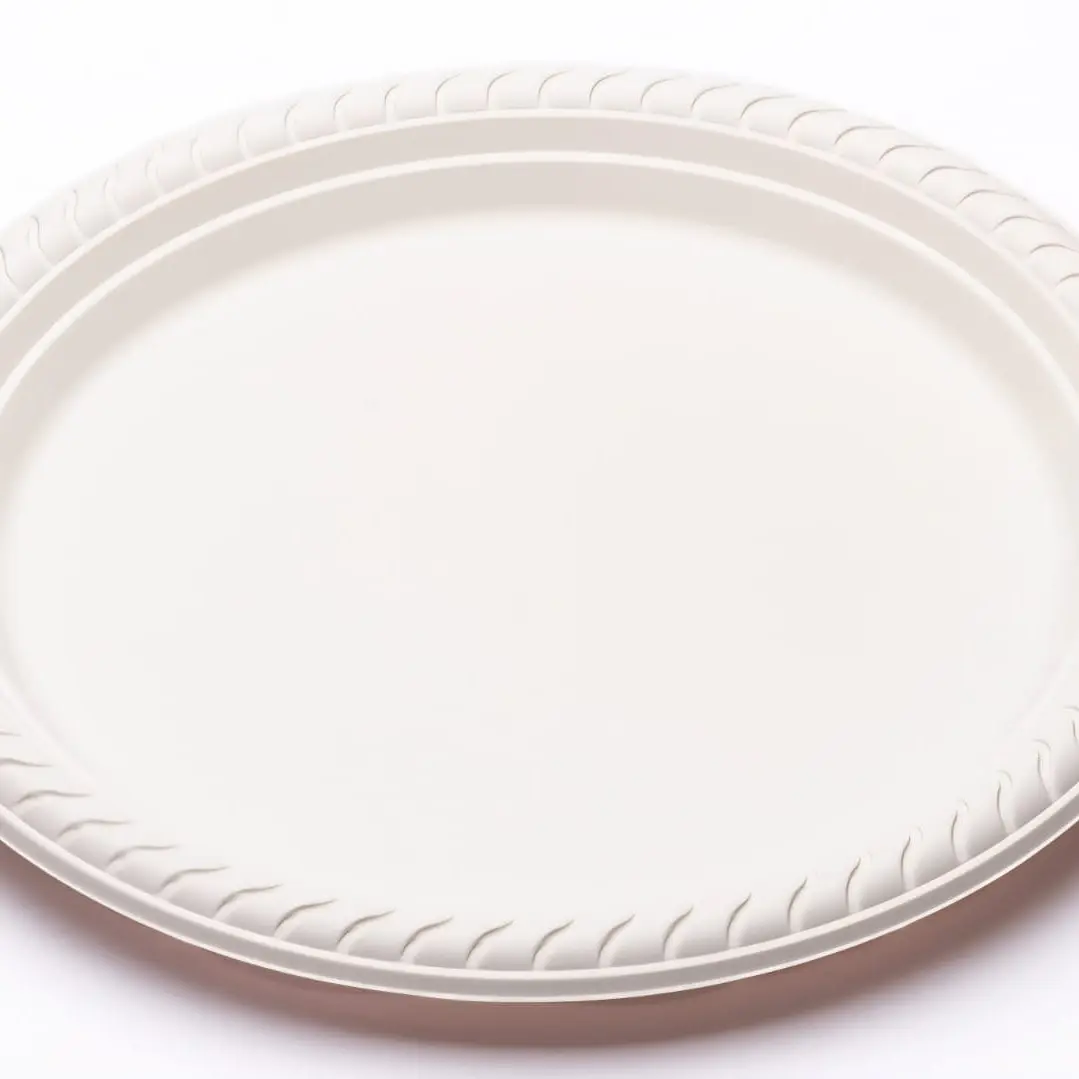 Plato plastico 10 unidades 23cm 10