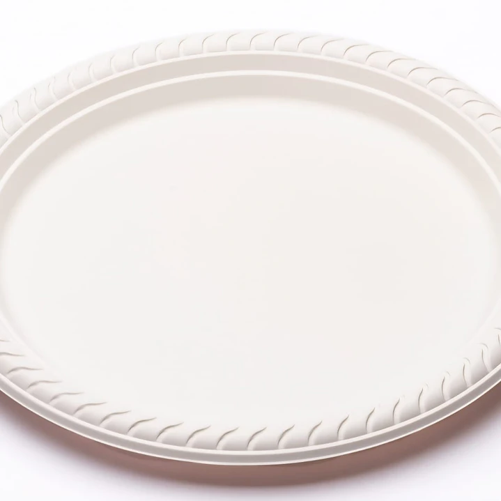 Plato plastico 10 unidades 23cm 10