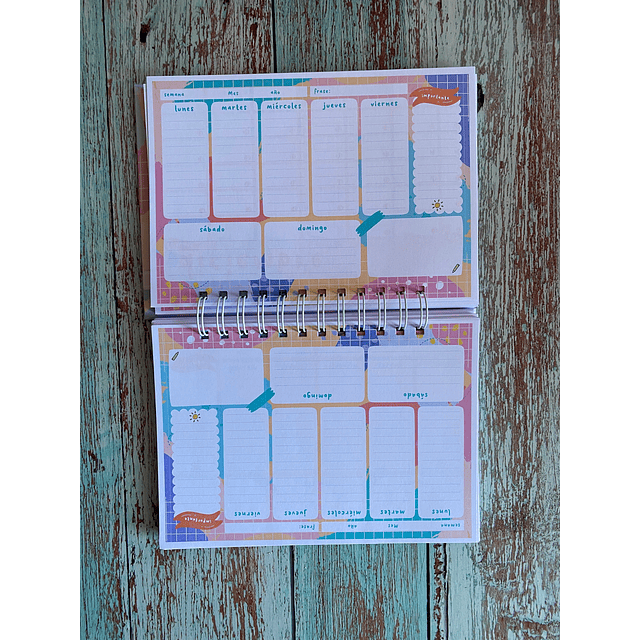 Planner Horizontal Fonoaudiologa