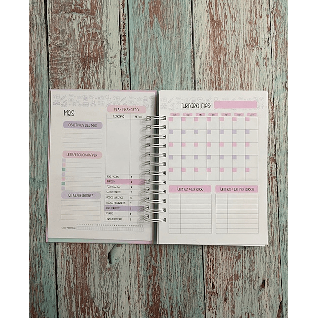 Planner Enfermera