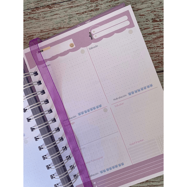 Planner Docente Detallitos