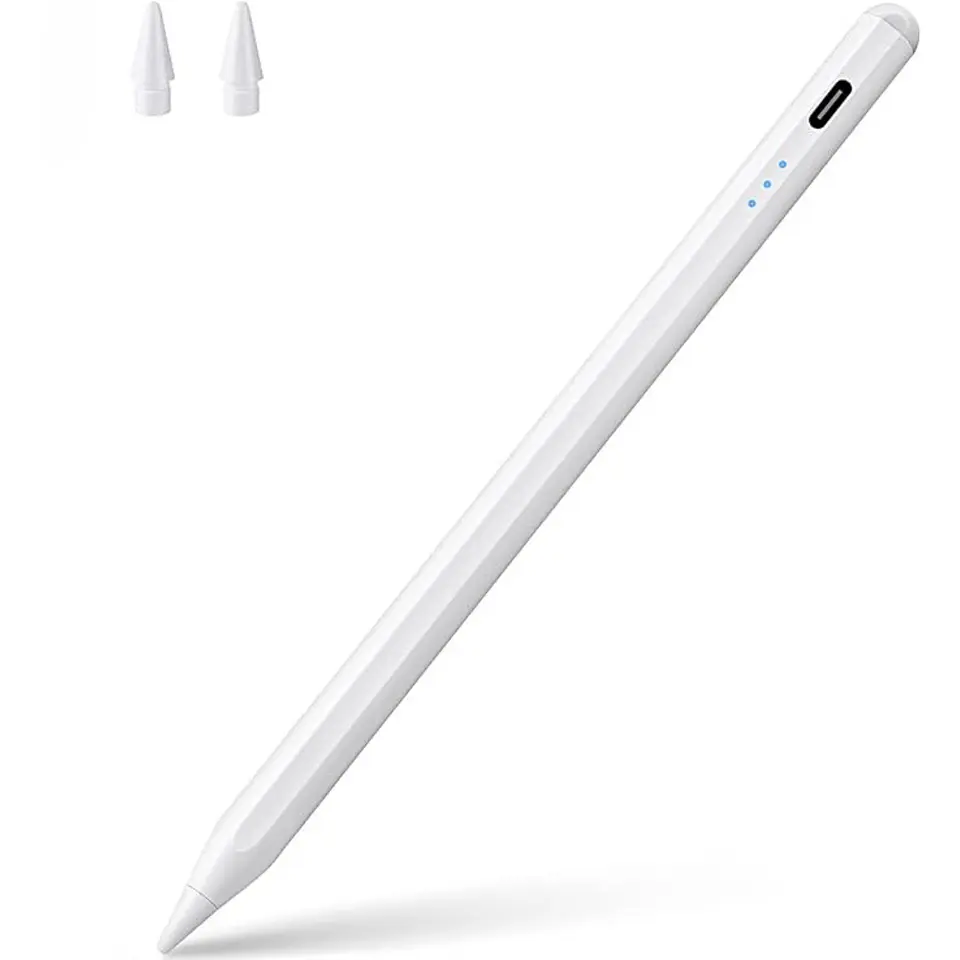 Lápiz Óptico Para iPad Rechazo de Palma (+2018) 1