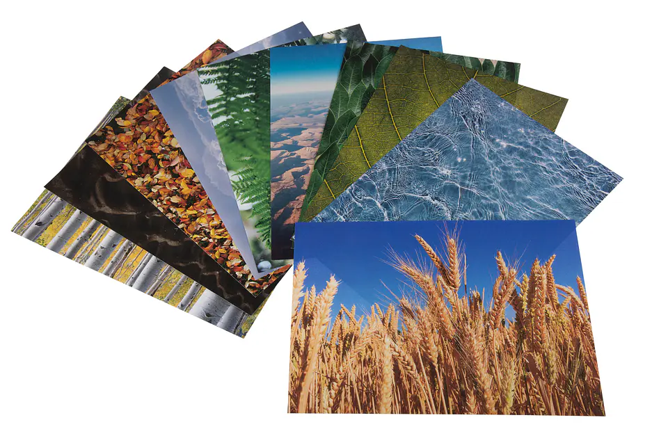 40 Folios A4 de naturaleza 1