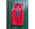 Bulls Lavine - Entrega Rápida