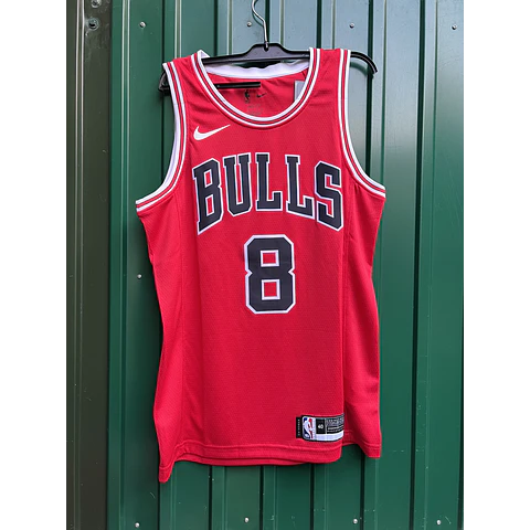 Bulls Lavine - Entrega Rápida
