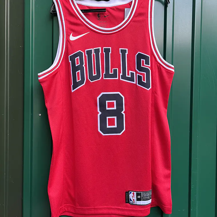 Bulls Lavine - Entrega Rápida 2