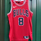 Bulls Lavine - Entrega Rápida - Thumbnail 2